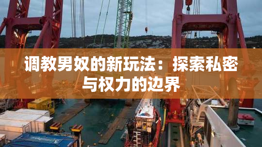 调教男奴的新玩法：探索私密与权力的边界