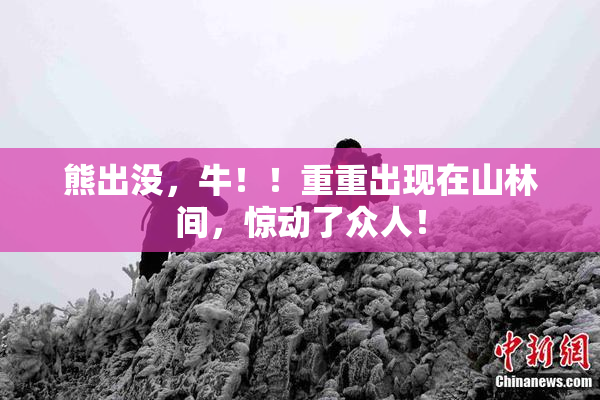熊出没，牛！！重重出现在山林间，惊动了众人！