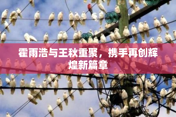 霍雨浩与王秋重聚，携手再创辉煌新篇章
