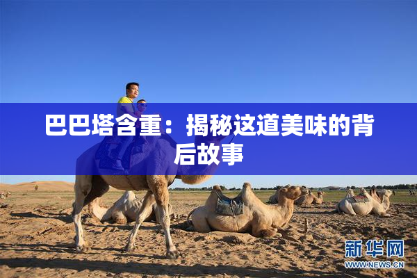 巴巴塔含重：揭秘这道美味的背后故事