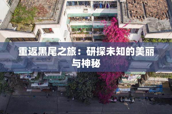 重返黑尾之旅：研探未知的美丽与神秘