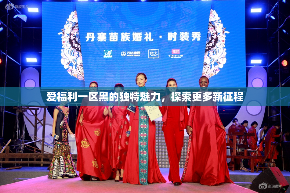爱福利一区黑的独特魅力，探索更多新征程
