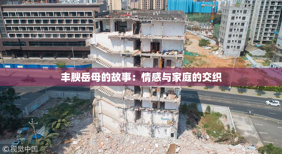 丰腴岳母的故事：情感与家庭的交织