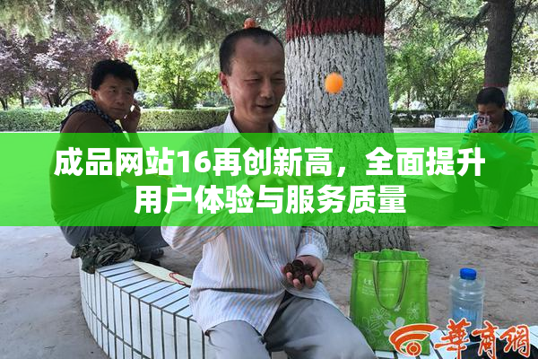 成品网站16再创新高，全面提升用户体验与服务质量