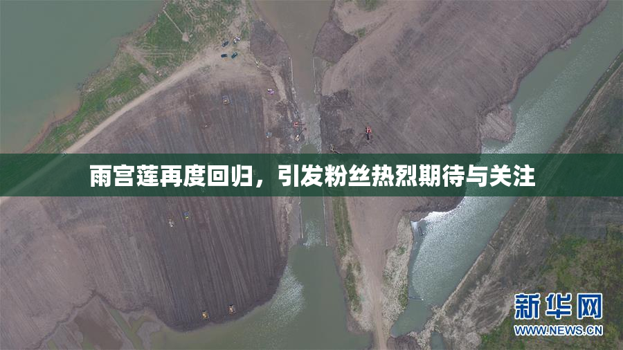 雨宫莲再度回归，引发粉丝热烈期待与关注