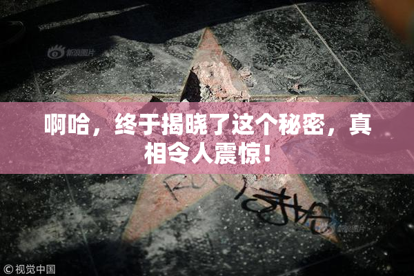 啊哈，终于揭晓了这个秘密，真相令人震惊！