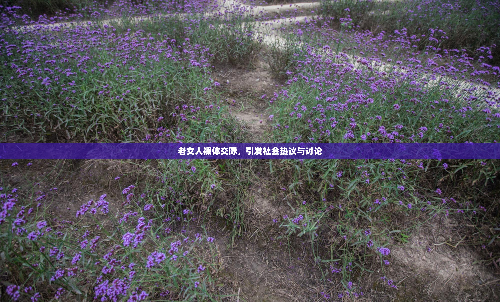 老女人裸体交际，引发社会热议与讨论