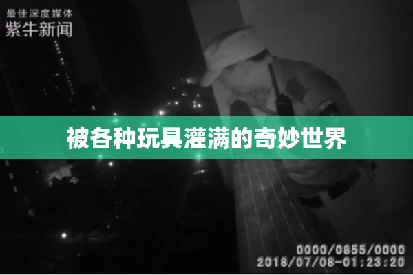 被各种玩具灌满的奇妙世界