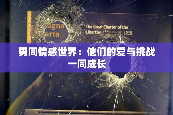 男同情感世界：他们的爱与挑战一同成长