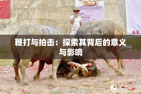 鞭打与拍击：探索其背后的意义与影响