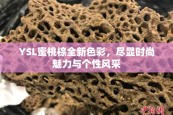 YSL蜜桃棕全新色彩，尽显时尚魅力与个性风采