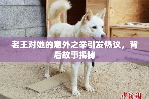 老王对她的意外之举引发热议，背后故事揭秘