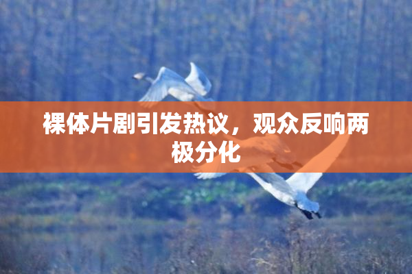 裸体片剧引发热议，观众反响两极分化