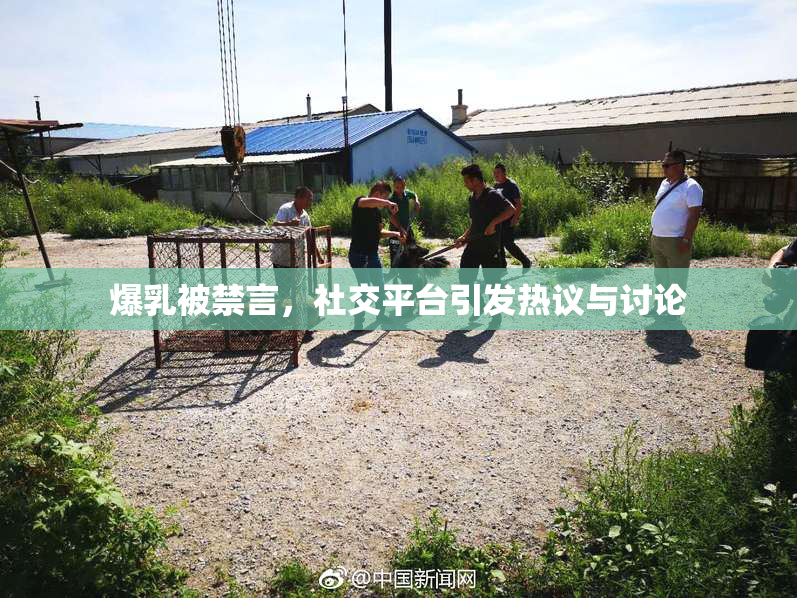 爆乳被禁言，社交平台引发热议与讨论