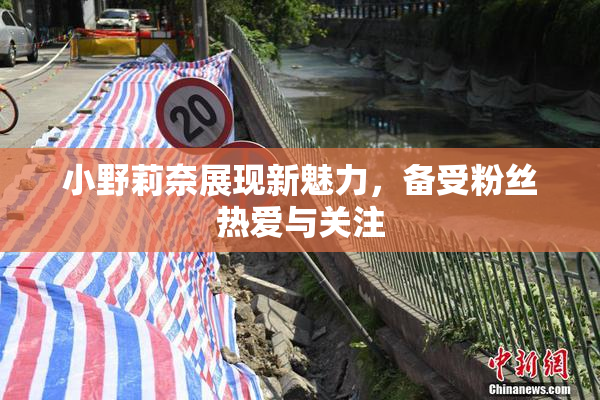 小野莉奈展现新魅力，备受粉丝热爱与关注