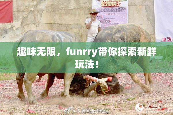 趣味无限，funrry带你探索新鲜玩法！