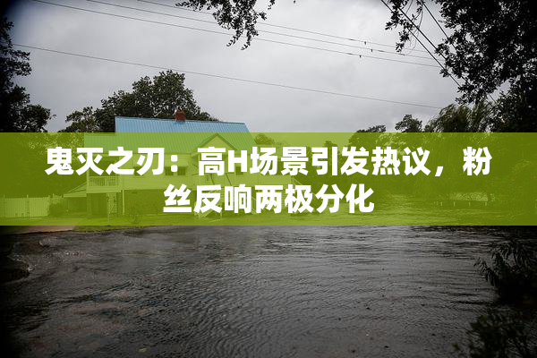 鬼灭之刃：高H场景引发热议，粉丝反响两极分化