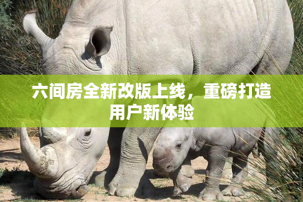 六间房全新改版上线，重磅打造用户新体验