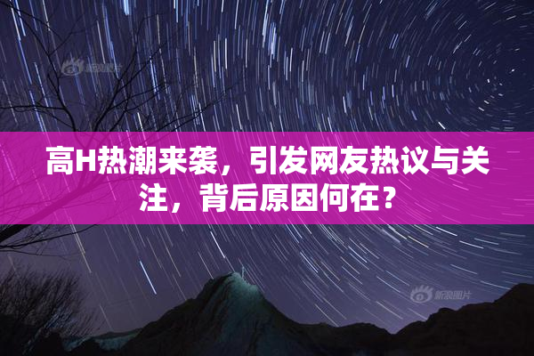 高H热潮来袭，引发网友热议与关注，背后原因何在？