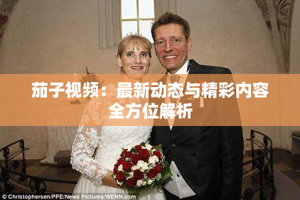 茄子视频：最新动态与精彩内容全方位解析