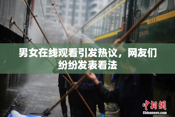 男女在线观看引发热议，网友们纷纷发表看法