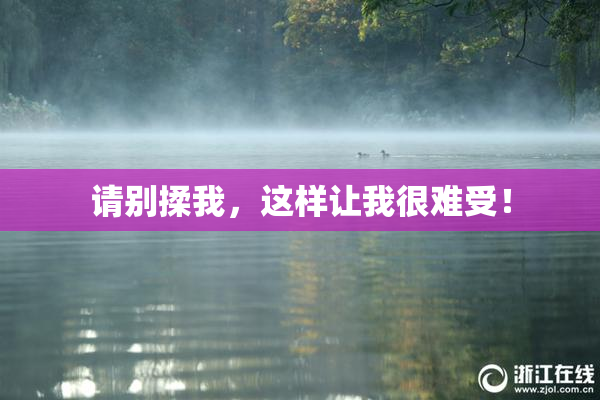 请别揉我，这样让我很难受！