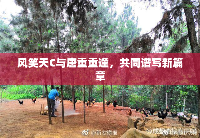 风笑天C与唐重重逢，共同谱写新篇章