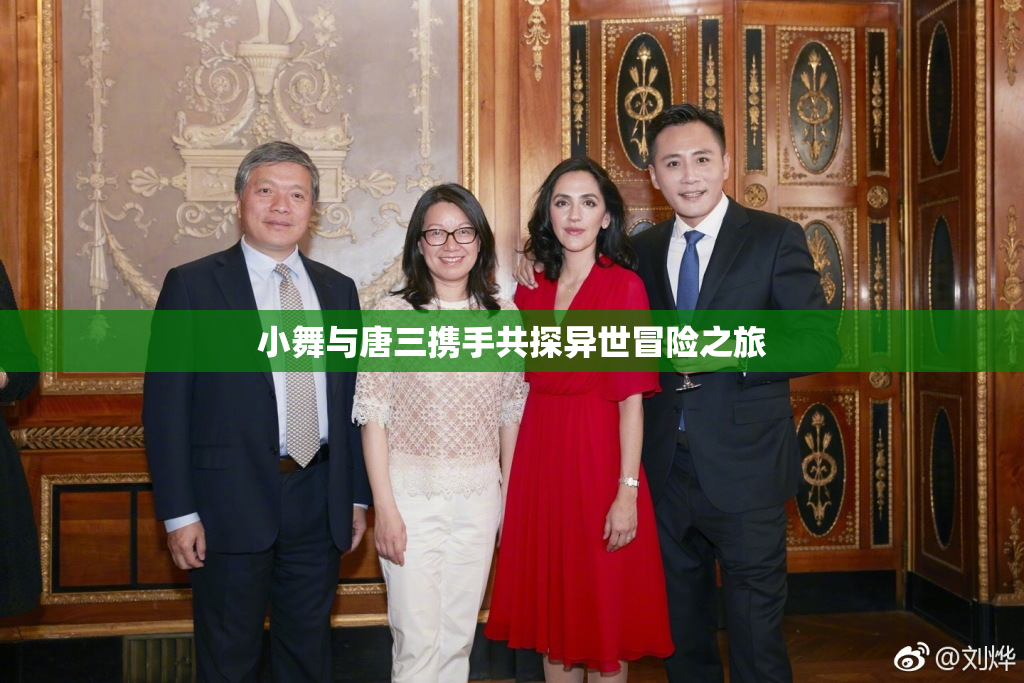 小舞与唐三携手共探异世冒险之旅