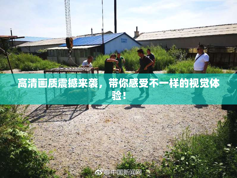 高清画质震撼来袭，带你感受不一样的视觉体验！