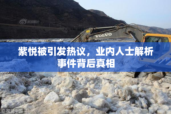 紫悦被引发热议，业内人士解析事件背后真相