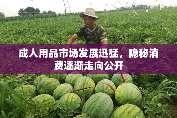 成人用品市场发展迅猛，隐秘消费逐渐走向公开