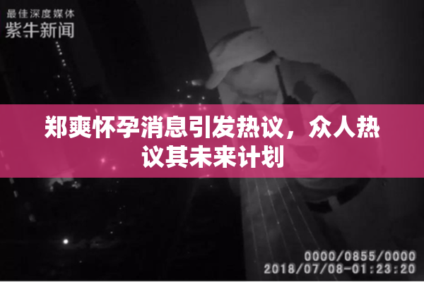 郑爽怀孕消息引发热议，众人热议其未来计划