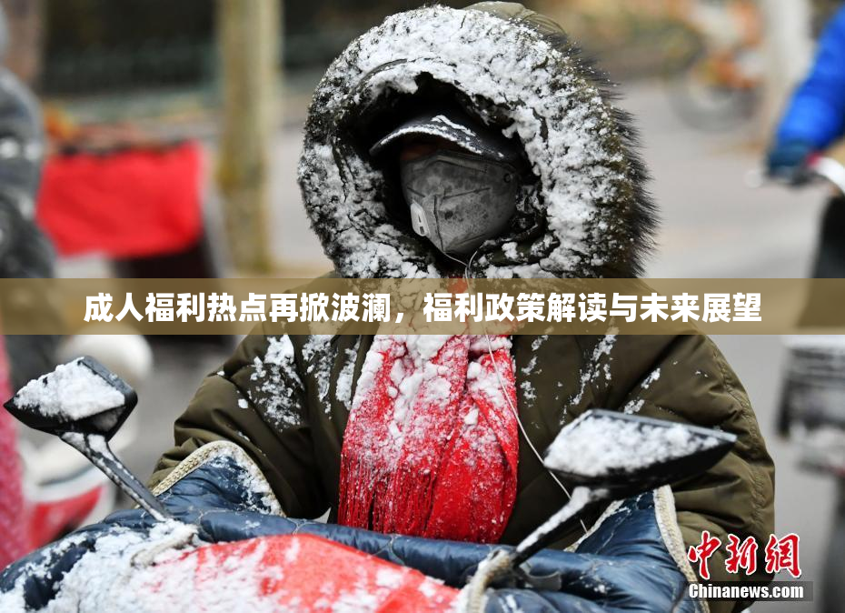 成人福利热点再掀波澜，福利政策解读与未来展望