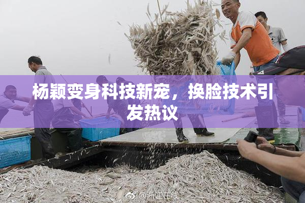 杨颖变身科技新宠，换脸技术引发热议