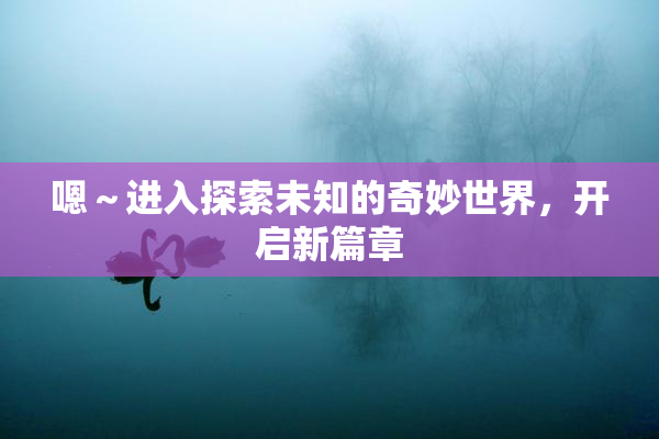 嗯～进入探索未知的奇妙世界，开启新篇章