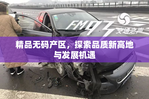 精品无码产区，探索品质新高地与发展机遇