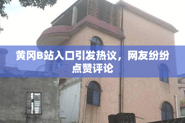 黄冈B站入口引发热议，网友纷纷点赞评论