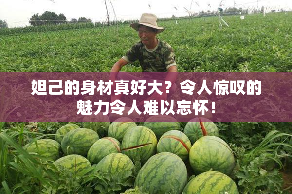妲己的身材真好大？令人惊叹的魅力令人难以忘怀！