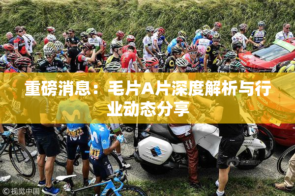 重磅消息：毛片A片深度解析与行业动态分享