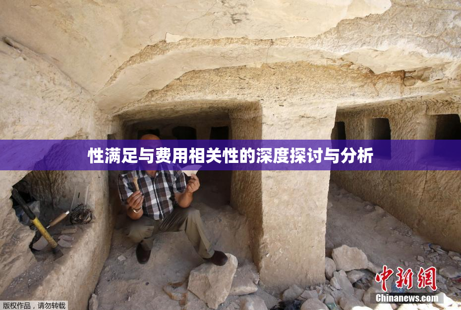 性满足与费用相关性的深度探讨与分析