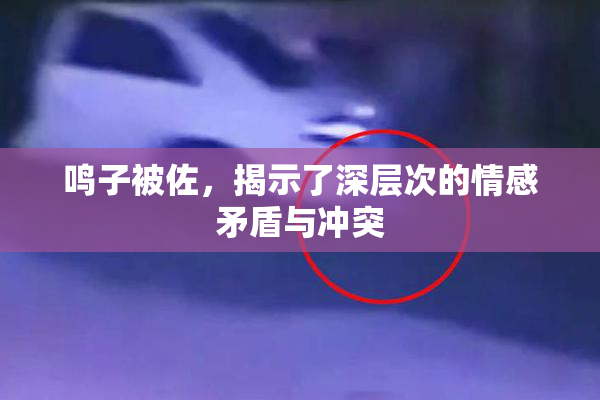 鸣子被佐，揭示了深层次的情感矛盾与冲突