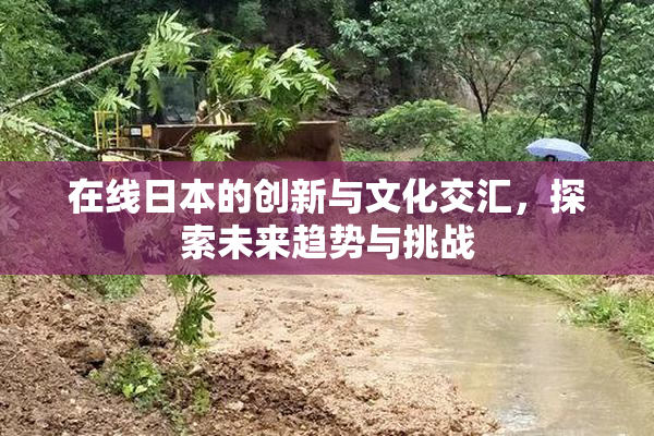 在线日本的创新与文化交汇，探索未来趋势与挑战