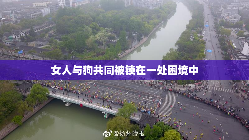 女人与狗共同被锁在一处困境中
