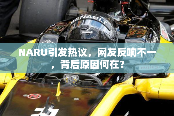NARU引发热议，网友反响不一，背后原因何在？