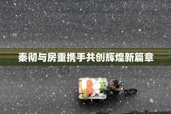 秦彻与房重携手共创辉煌新篇章