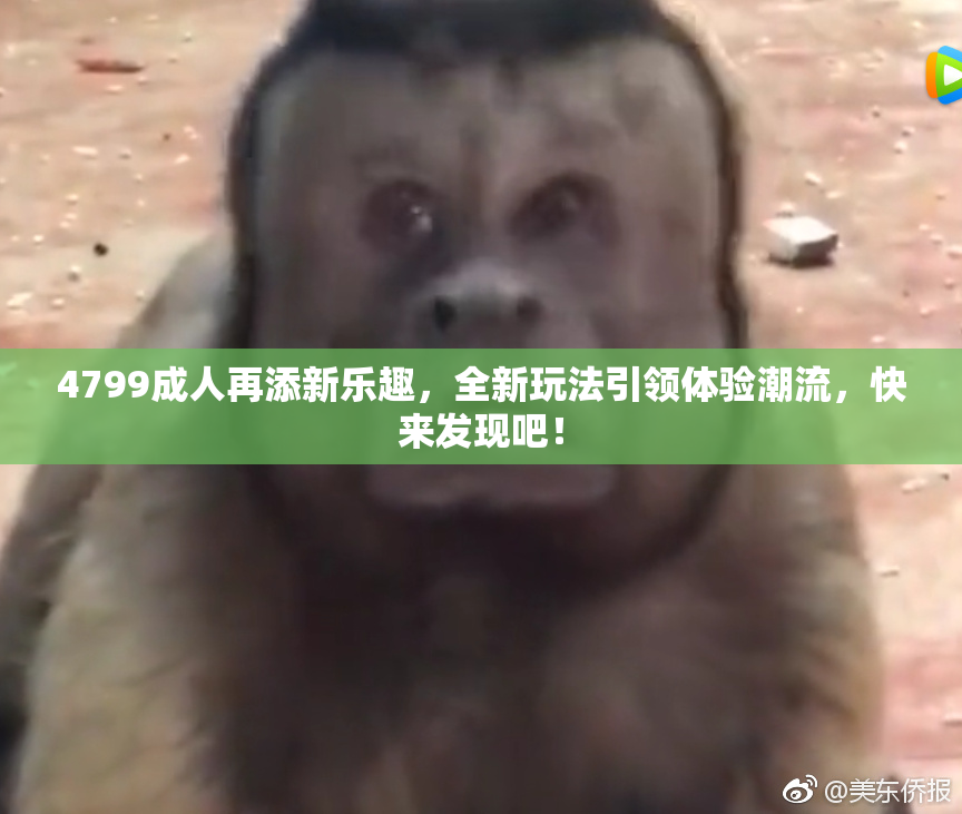 4799成人再添新乐趣，全新玩法引领体验潮流，快来发现吧！