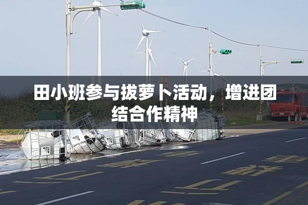 田小班参与拔萝卜活动，增进团结合作精神