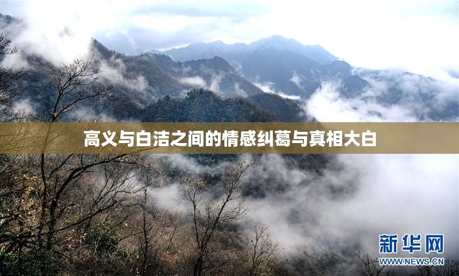 高义与白洁之间的情感纠葛与真相大白