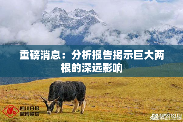 重磅消息：分析报告揭示巨大两根的深远影响
