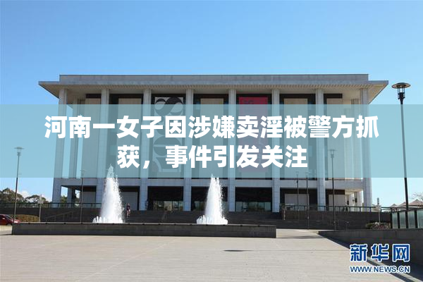 河南一女子因涉嫌卖淫被警方抓获，事件引发关注